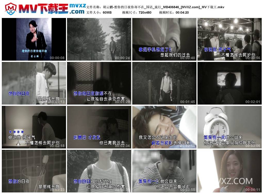 胡云鹏-想你的日夜你却不在_国语_流行_MB406846